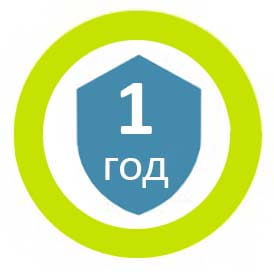 1 год